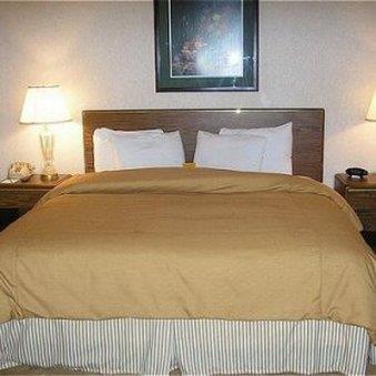 Crowne Plaza Atlanta Ne - Hotel 3*